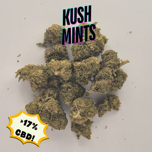 cbd bud flower kush mints 1