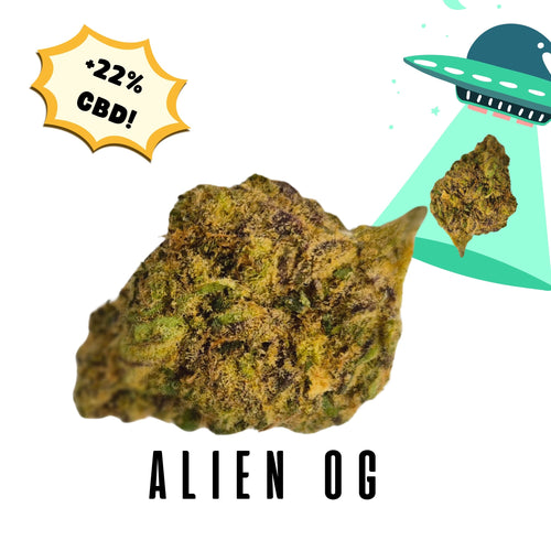 Alien OG (>22% CBD) (<0.2% THC)