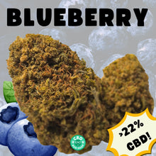 Load image into Gallery viewer, Blueberry CBD flower – premium hemp bud for tea, organically grown, lab-tested, legal in the UK, rich in CBD, low THC (&lt;0.2%)
