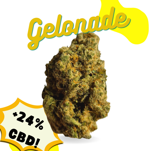 Gelonade - Premium CBD Bud (>22% CBD  <0.2% THC)