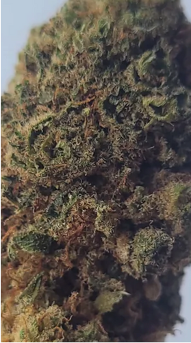 Gorilla Glue CBD Flower - premium loose hemp CBD Bud (>20% CBD  <0.2% THC)