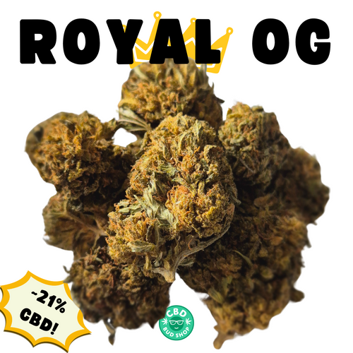 Royal OG - Premium CBD Bud (>20% CBD  <0.2% THC)